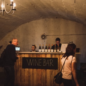DMP (Modra Wine Cellars Day) 2023